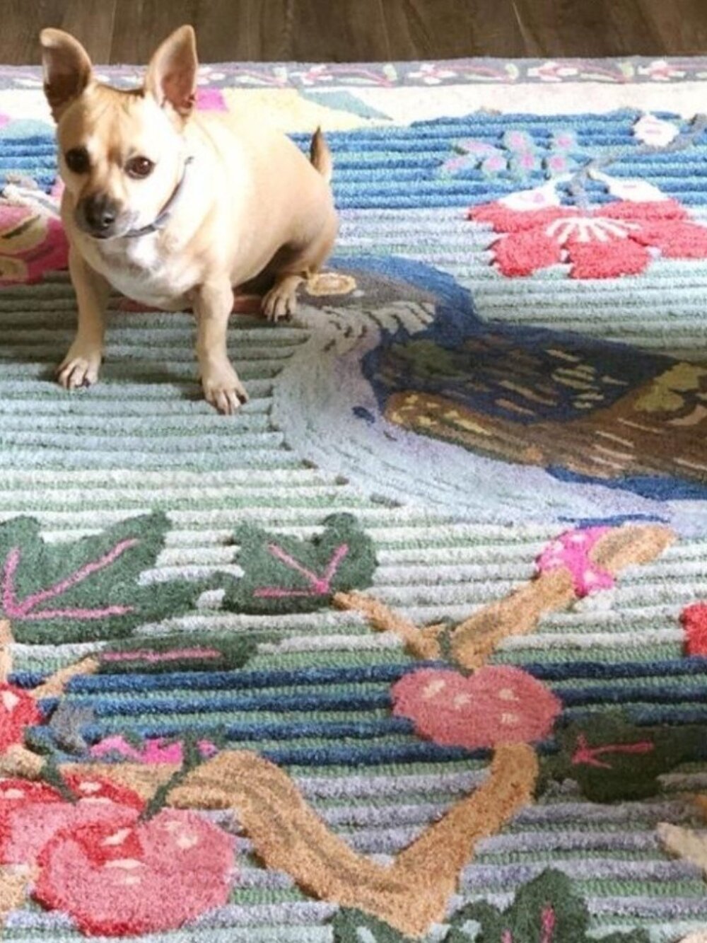 NWT Anthropologie Nathalie Lete Tufted Rug 3x5 - Picture 5 of 6